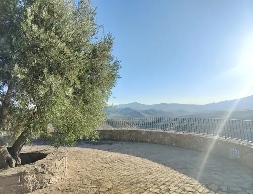 mirador